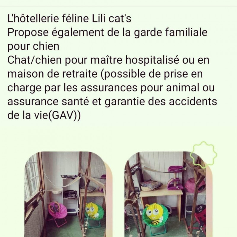 Photo de Hôtellerie féline Lili cat's