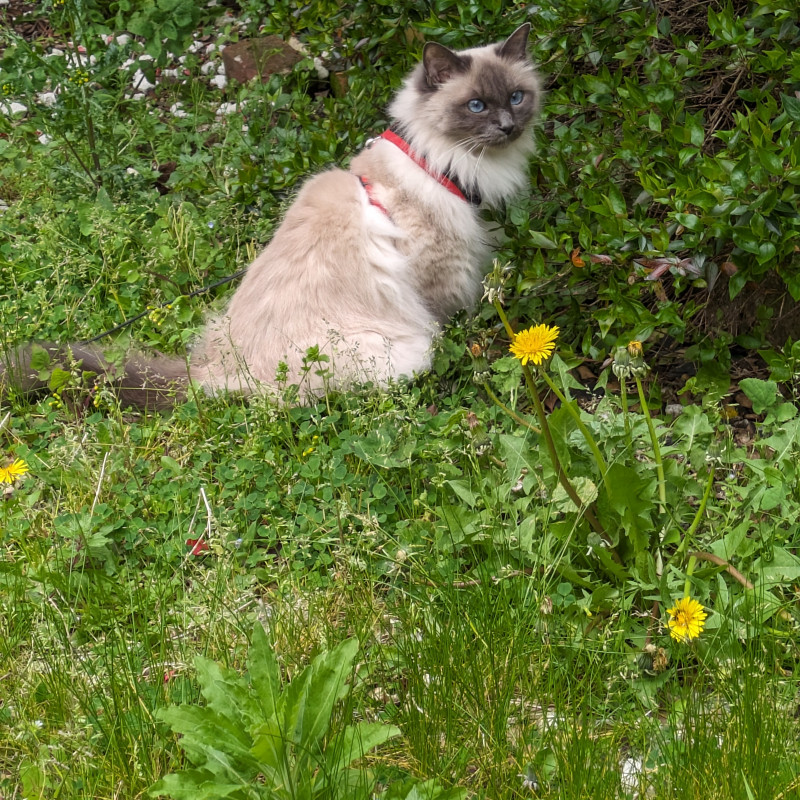 Photo de LENI