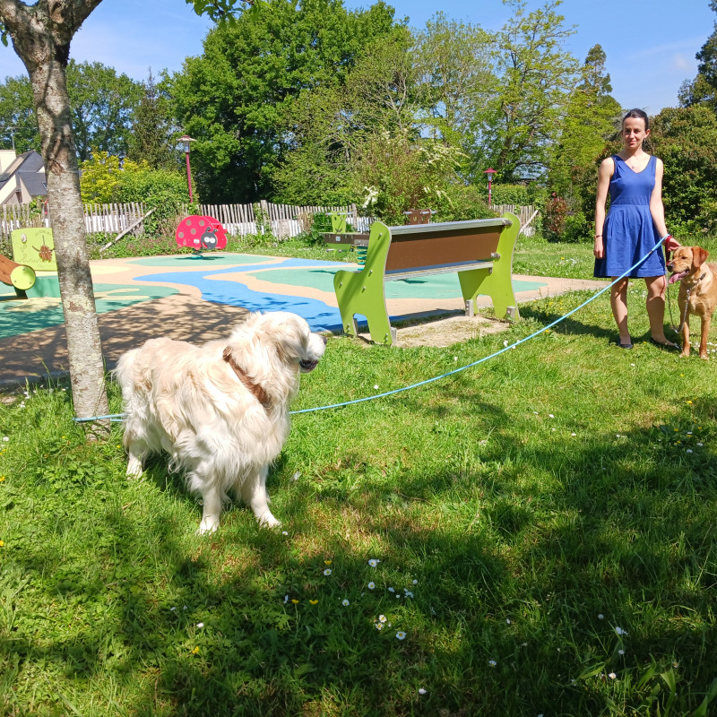 Photo de cecedu4431@hotmail.fr