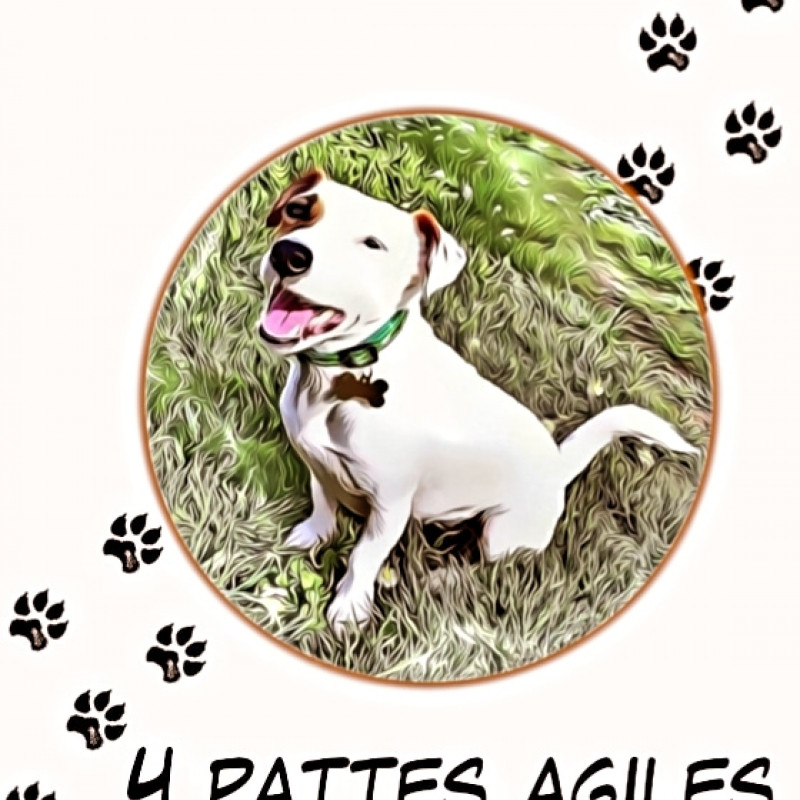 Photo de 4pattesagiles