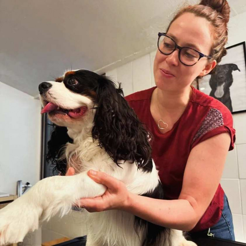 Photo de osteoanimalier31