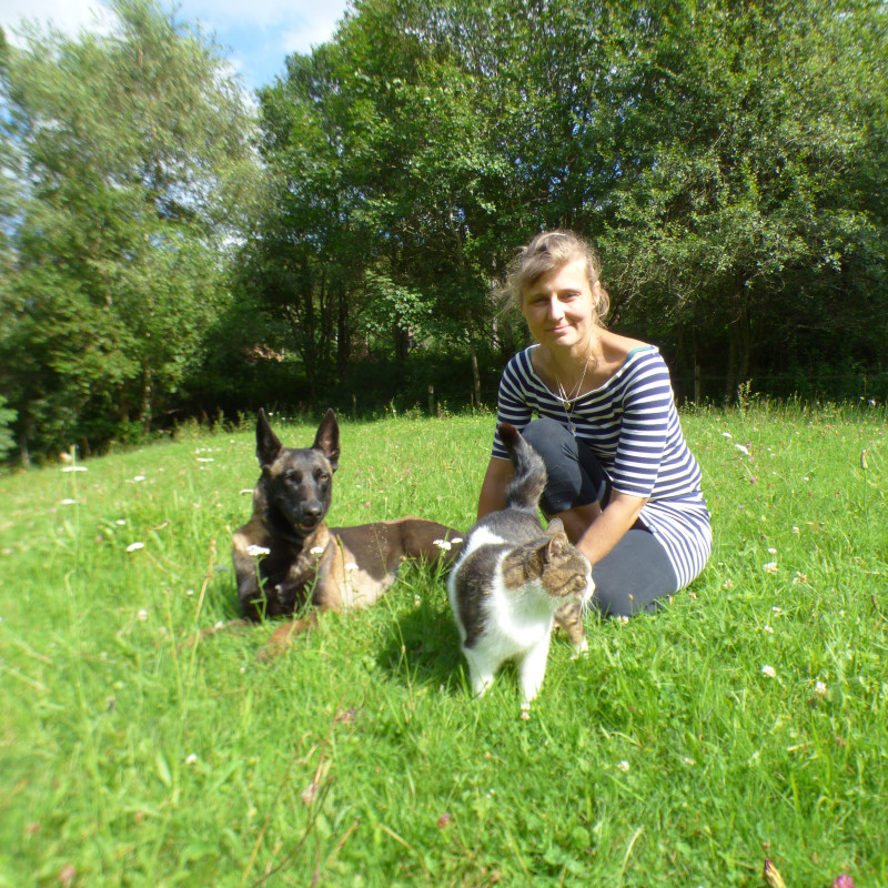 Photo de Entre chien et loup