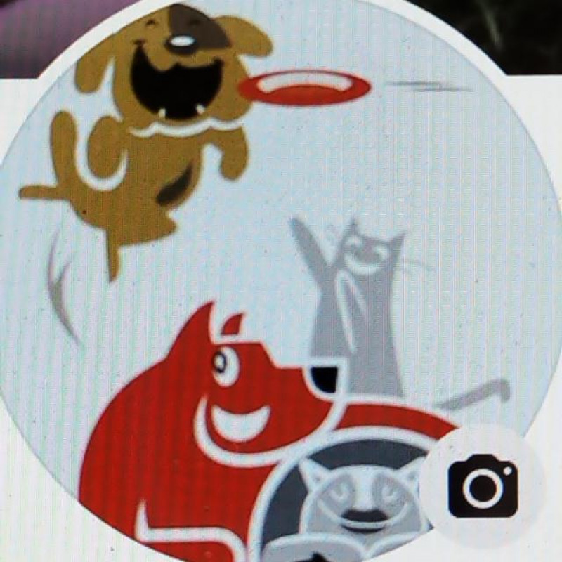 Photo de Lolotte pet sitter