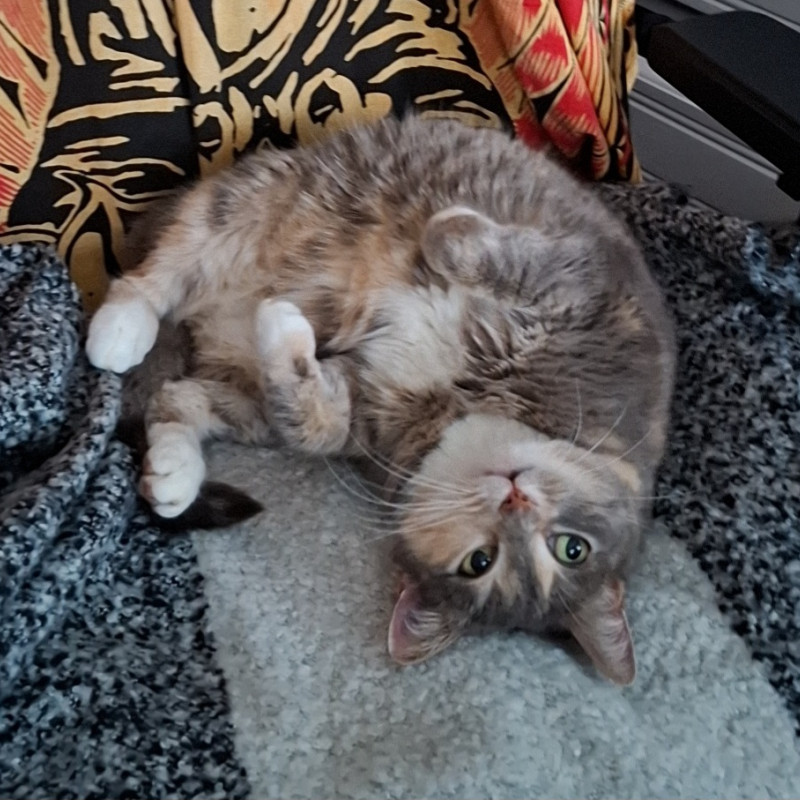 Photo de La Compagnie Veron