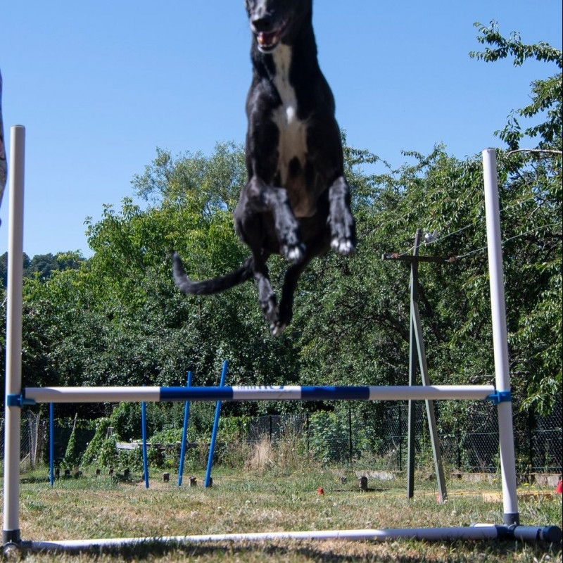 Photo de Uni'Verscanin