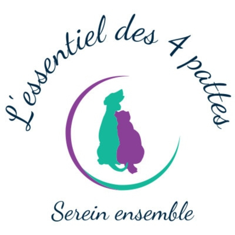 Photo de L'essentiel des 4 pattes