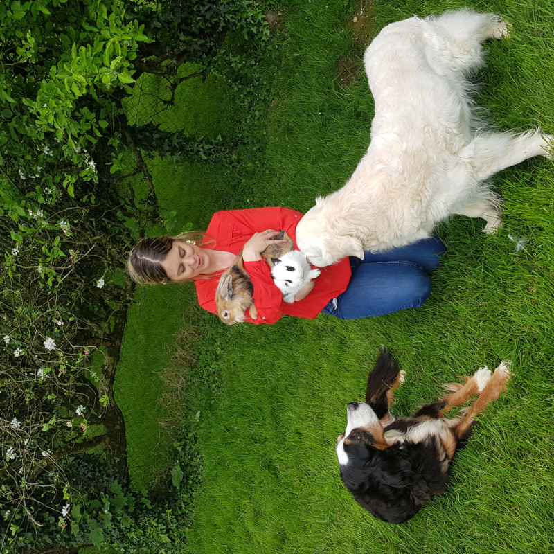 Photo de Main dans la patte 53