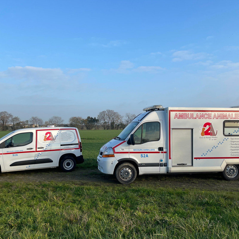 Photo de Ambulance Animalière S2A