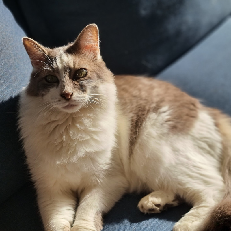 Photo de Perrine2506