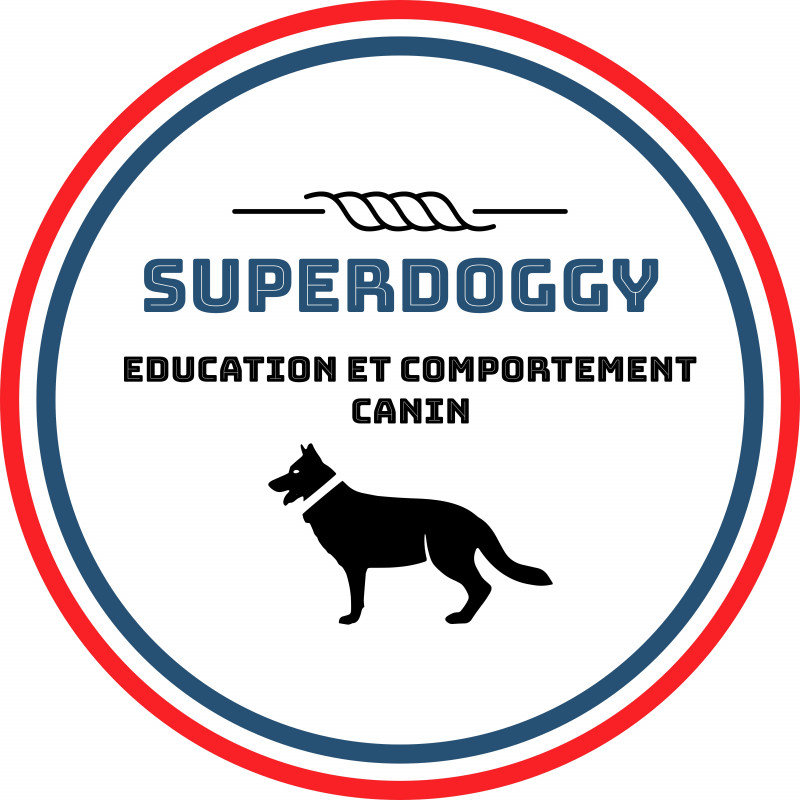 Photo de Superdoggy