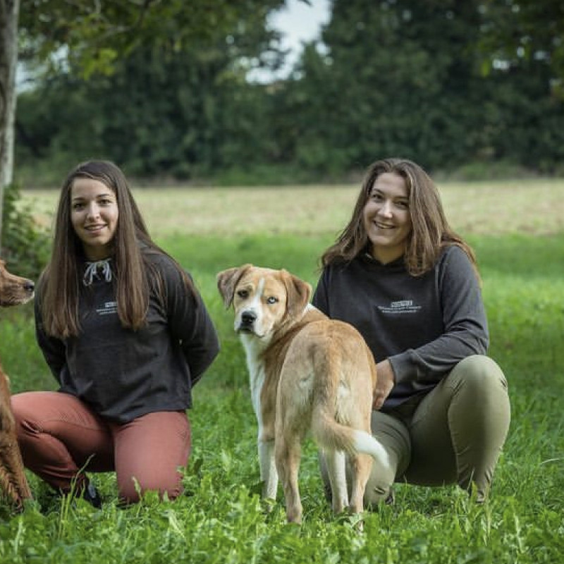 Photo de conscience animale