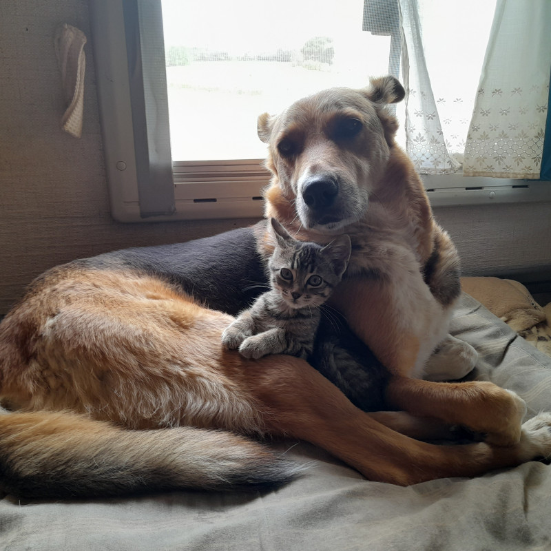 Photo de Val