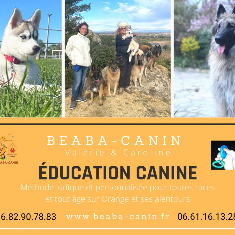 Photo de Beaba-canin
