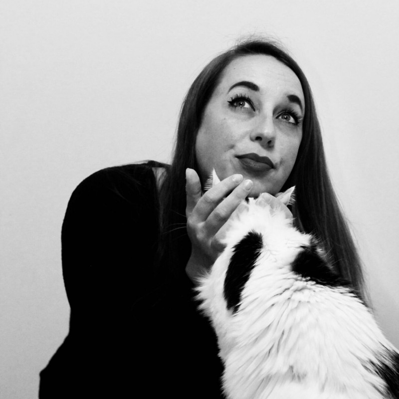 Photo de Chattitude