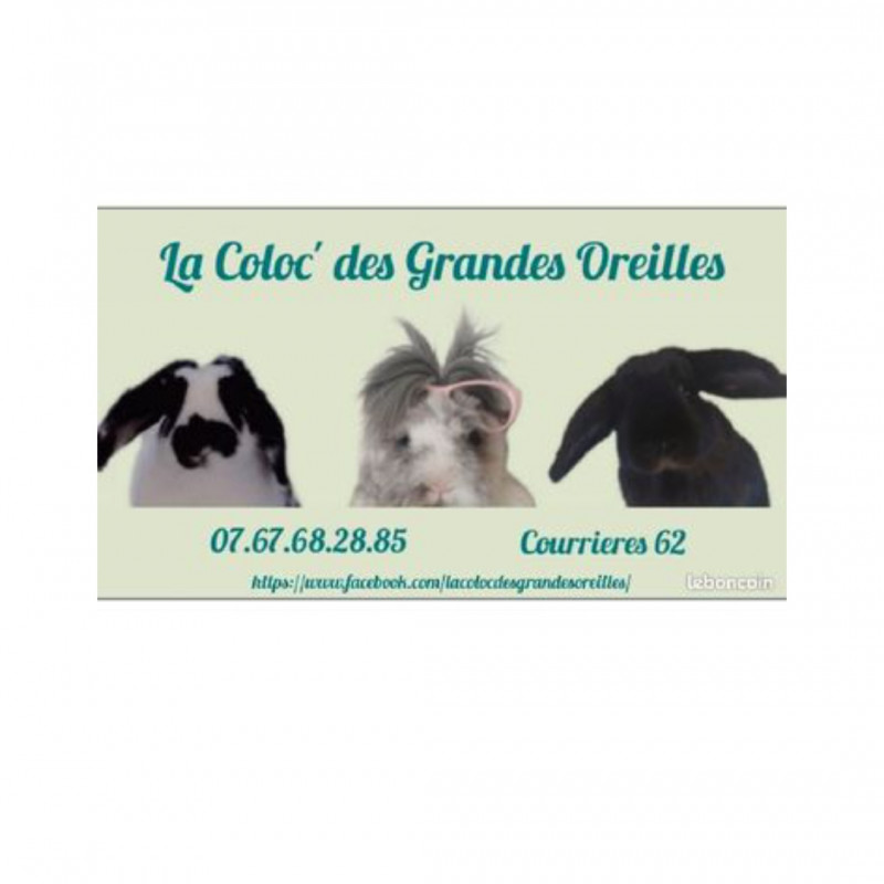 Photo de La coloc