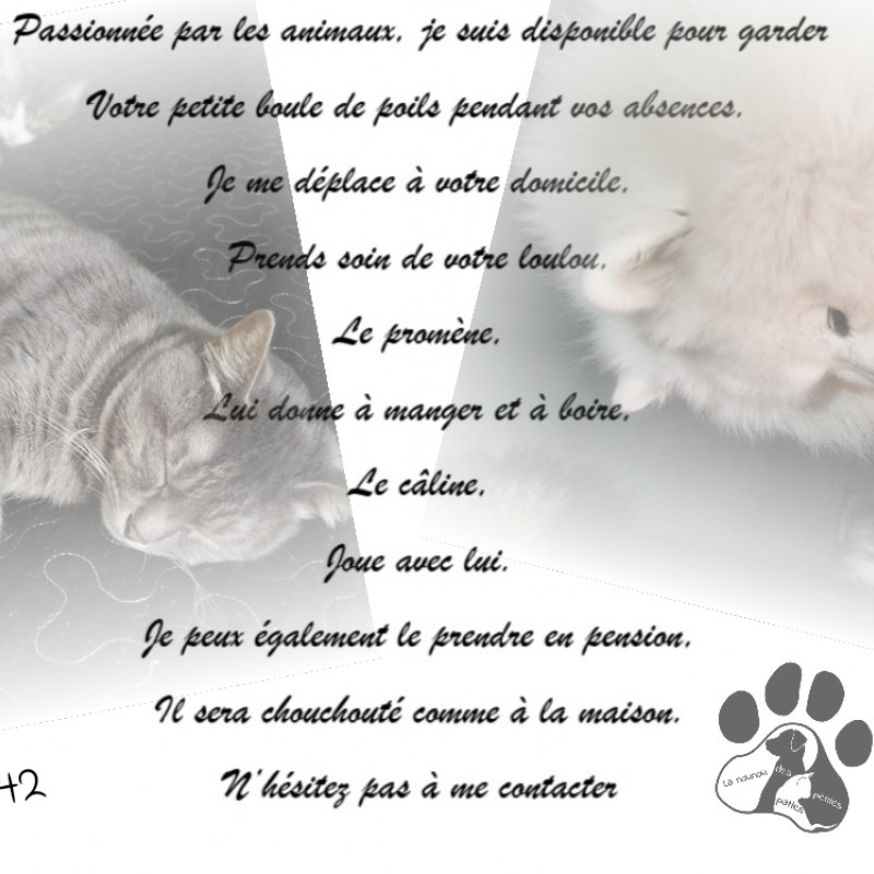 Photo de La nounou des p'tites pattes