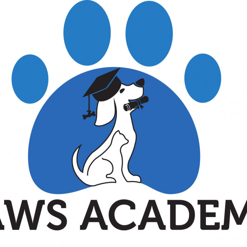 Photo de PAWS ACADEMY