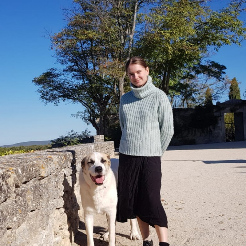 Photo de A Pieds et à Pattes