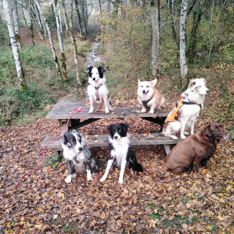 Photo de Sucette 74910