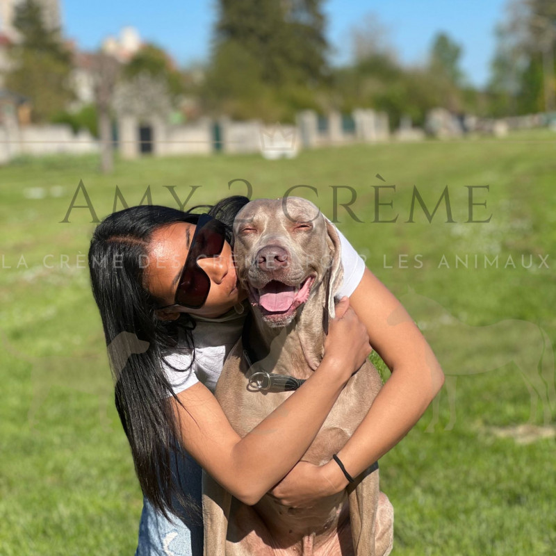 Photo de Amy 2 crème