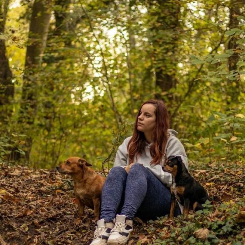 Photo de SophiaCatsitter