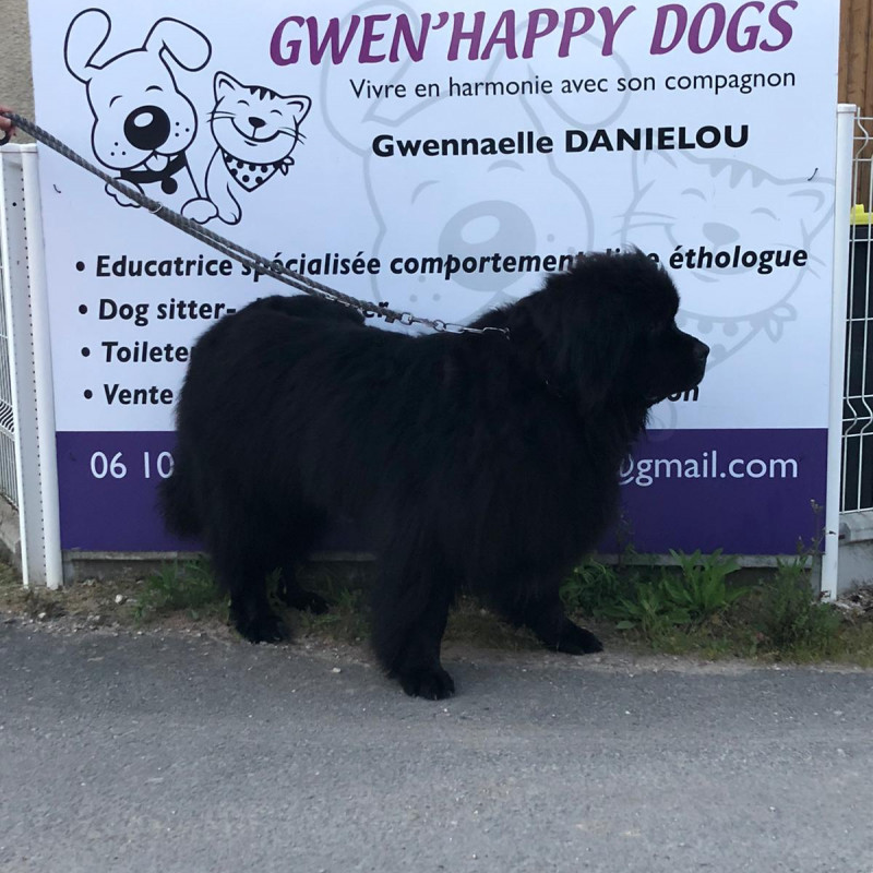 Photo de Gwen