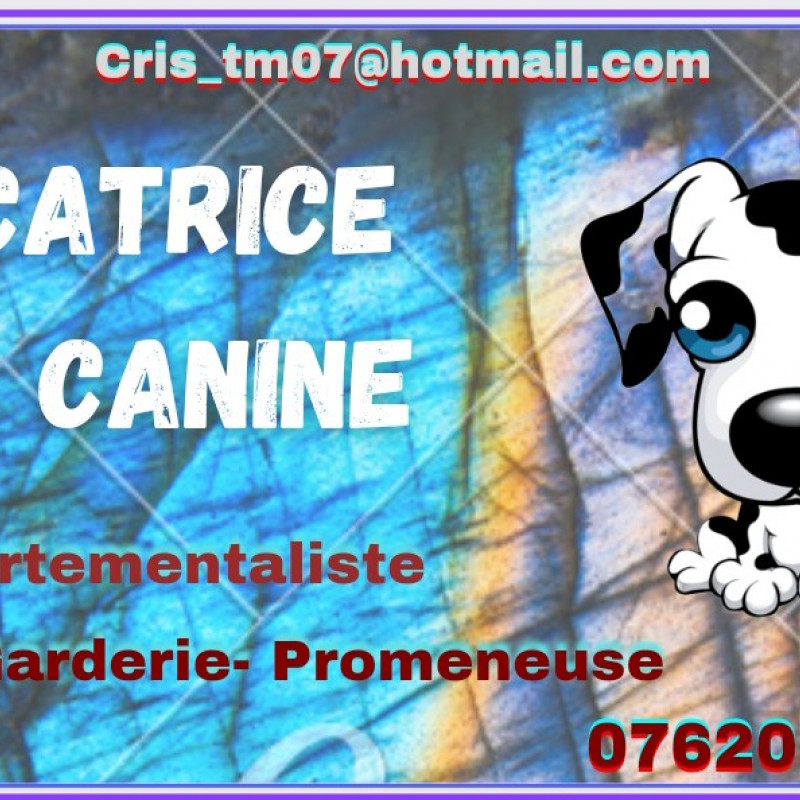 Photo de CrisDogs