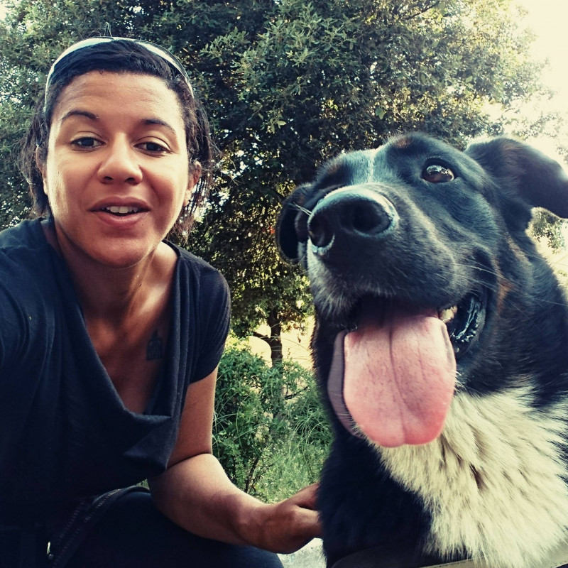 Photo de Instinct de Chien