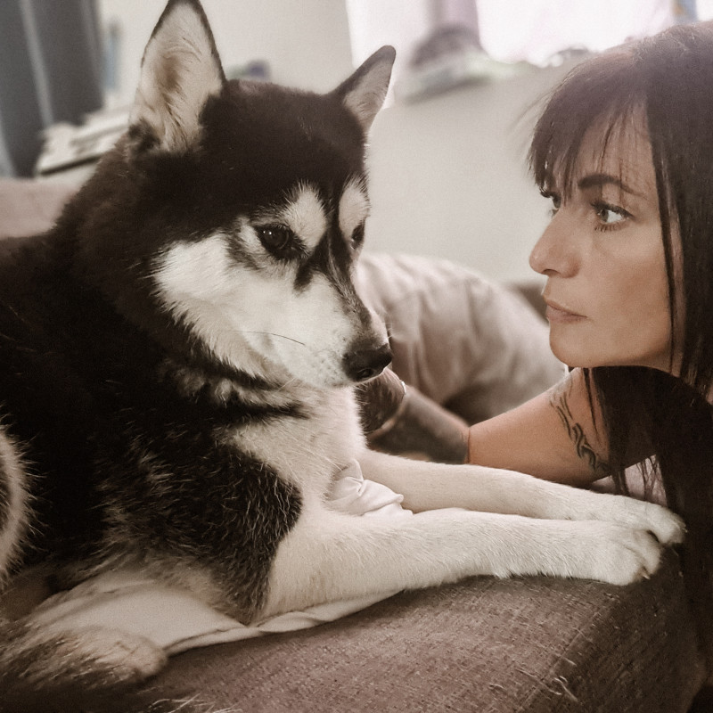 Photo de Lapetitemeutepyreneenne