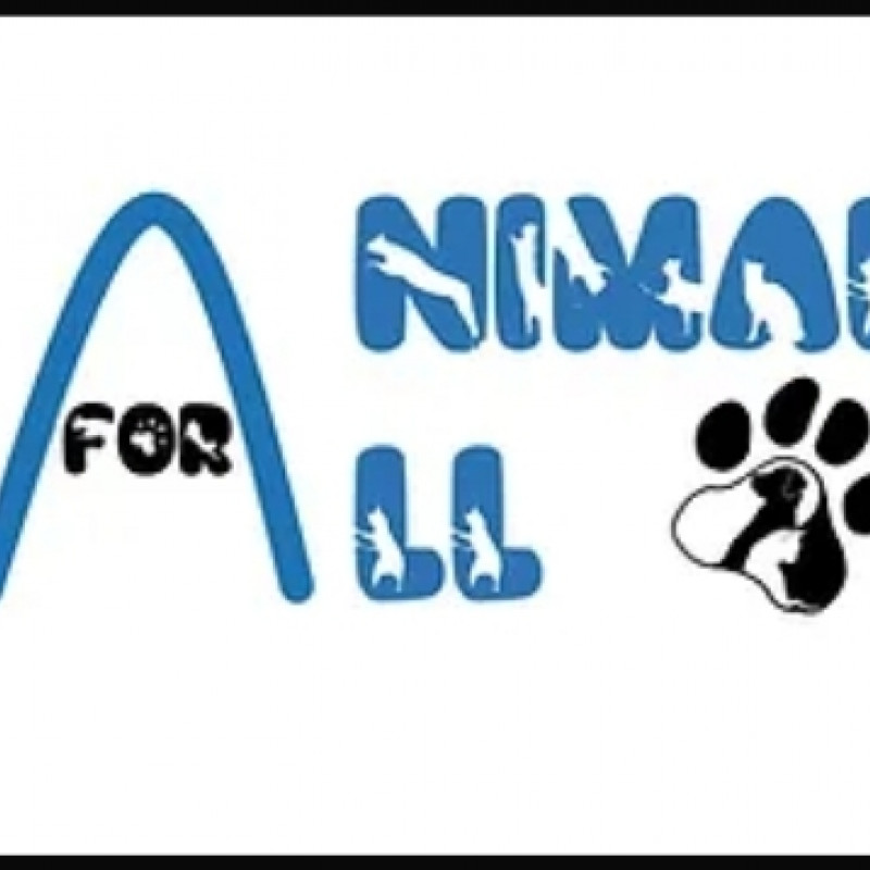 Photo de ANIMALS FOR ALL