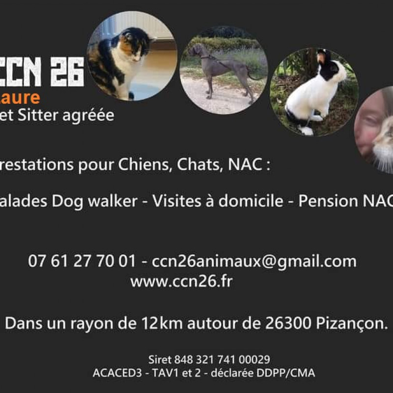 Photo de CCN26 Pet Sitter Laure Chiens