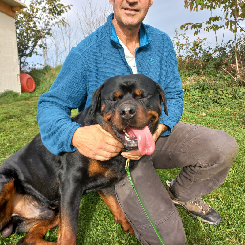 Photo de Safe-Dog