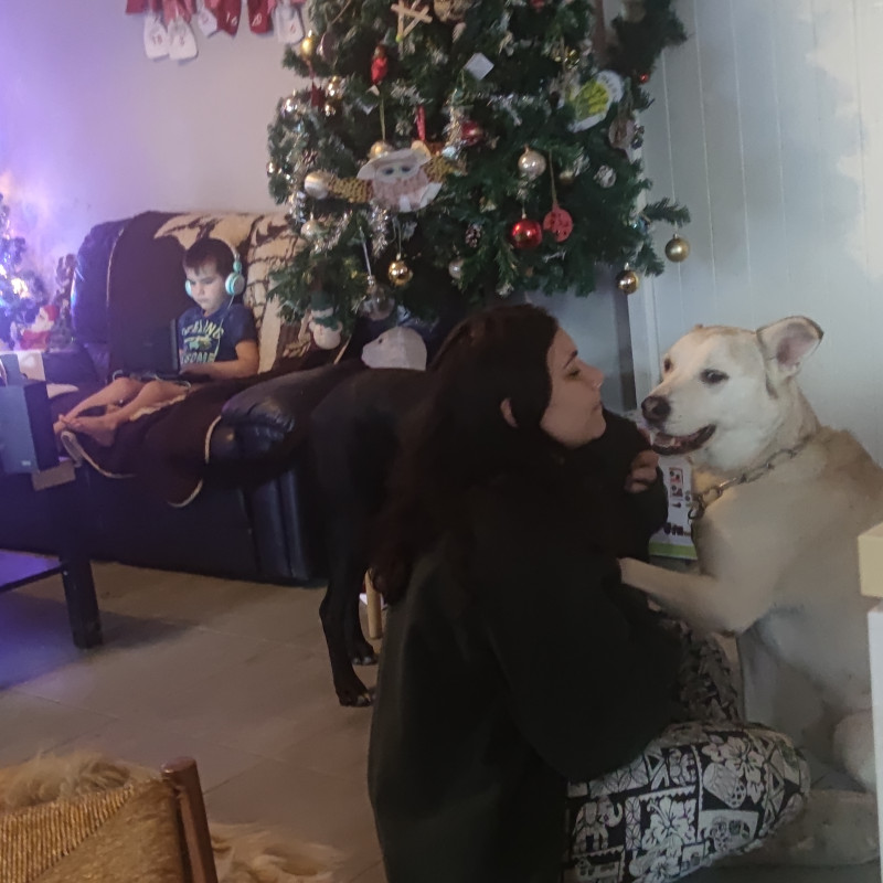 Photo de Pestsittingvar