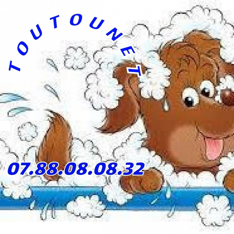 Photo de Toutounet