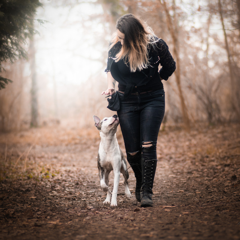 Photo de Mimii Dog's Mind