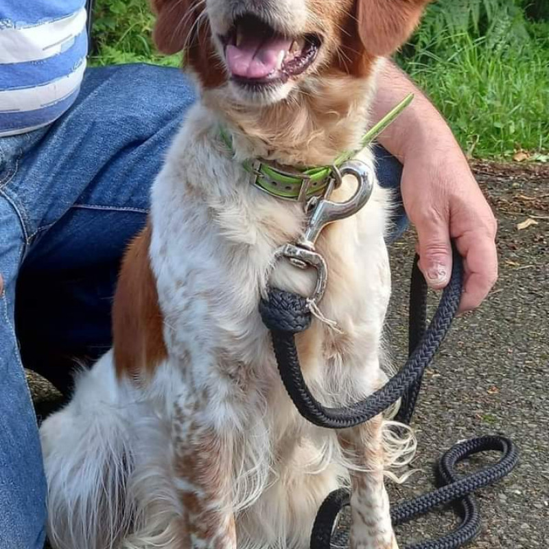 Photo de Véronique 85