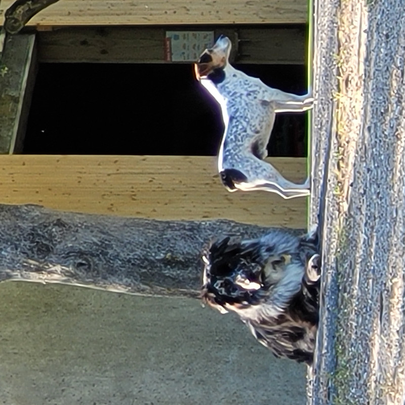 Photo de caroline.espi@wanadoo.fr