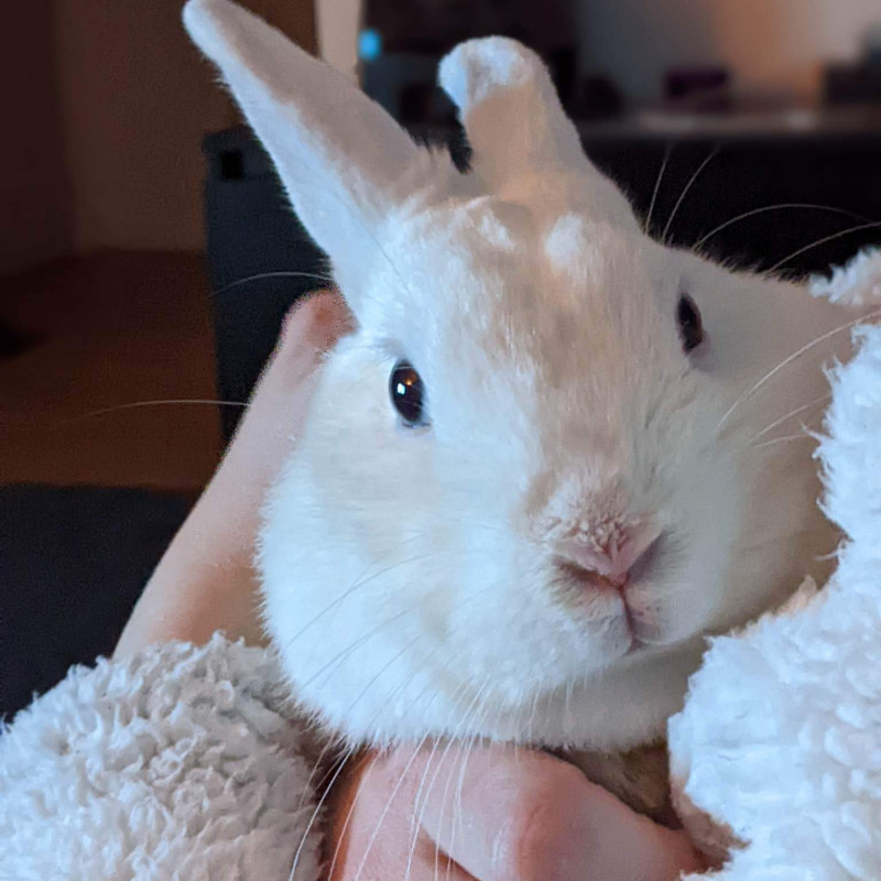 Photo de MysteryPurple