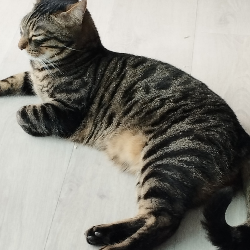 Photo de Virginie 94