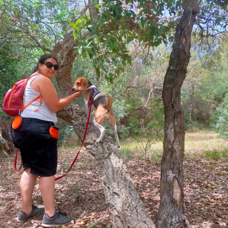 Photo de Mon Ami Toutou