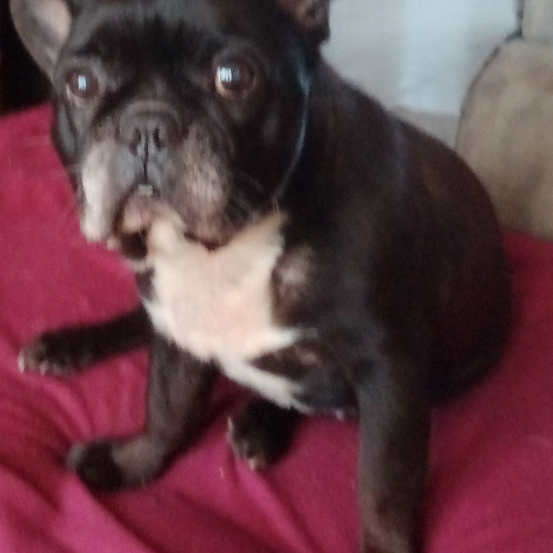 Photo de beaulie