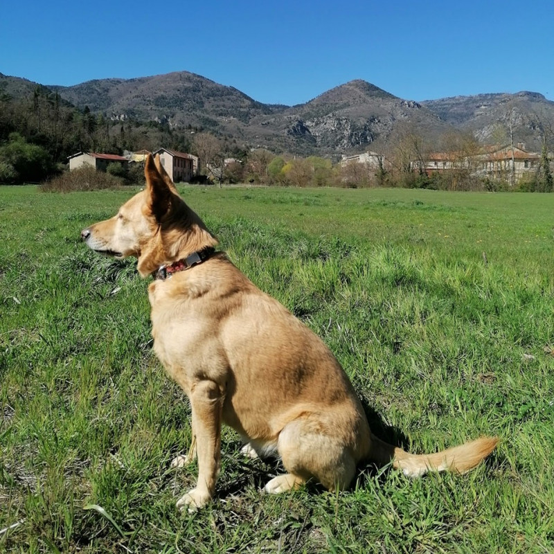 Photo de Louloutte&Cie