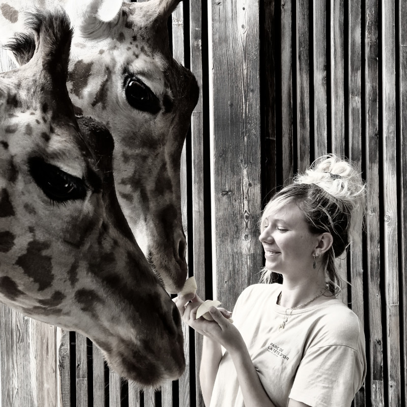 Photo de Roxi_monkey