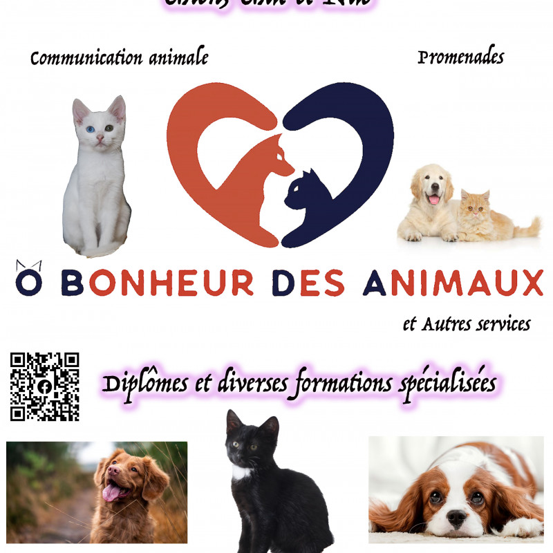 Photo de Obonheurdesanimaux