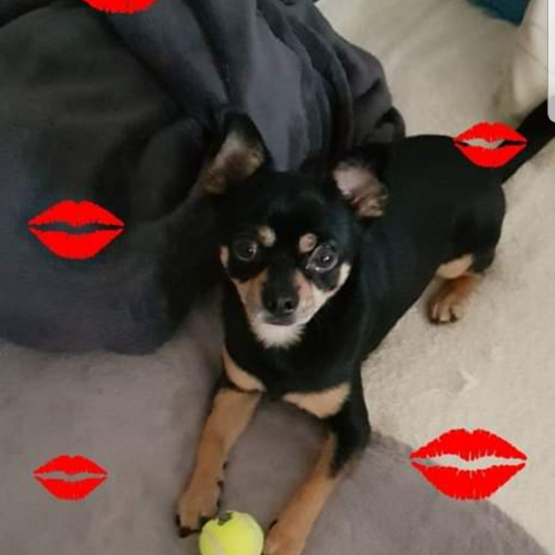 Photo de CHOCO