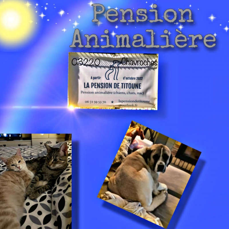 Photo de la pension de titoune