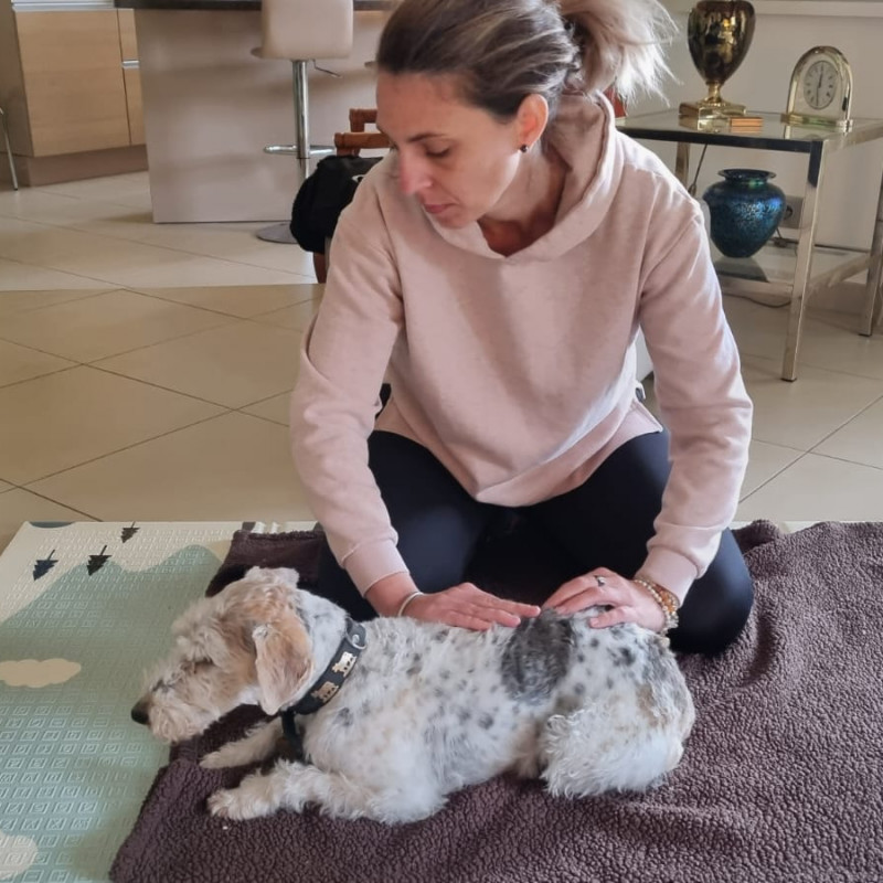 Photo de Animal Relax