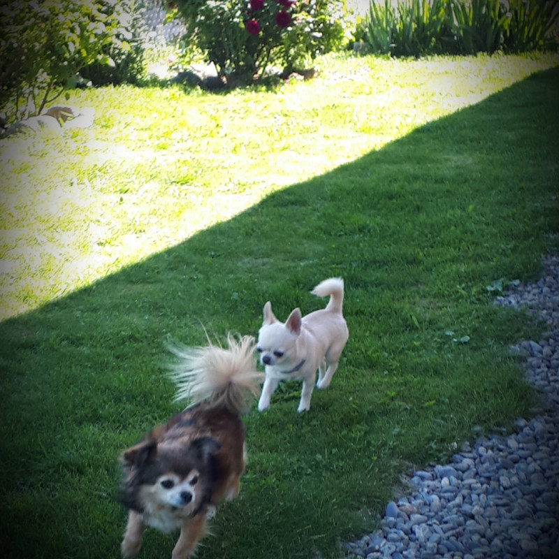 Photo de Cosy Garderie