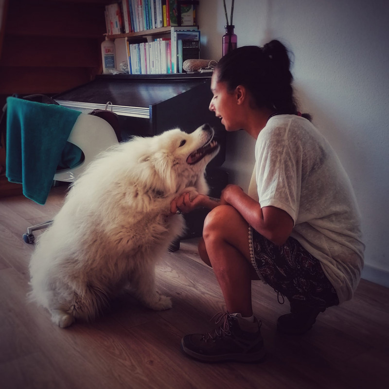 Photo de Naturo Animaux