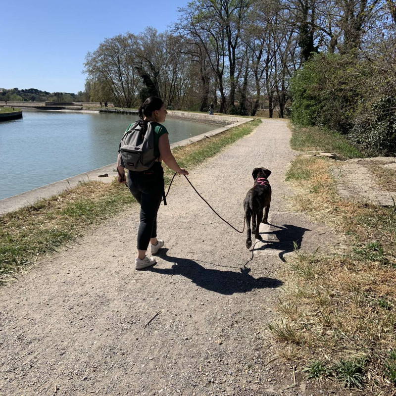 Photo de Petits museaux